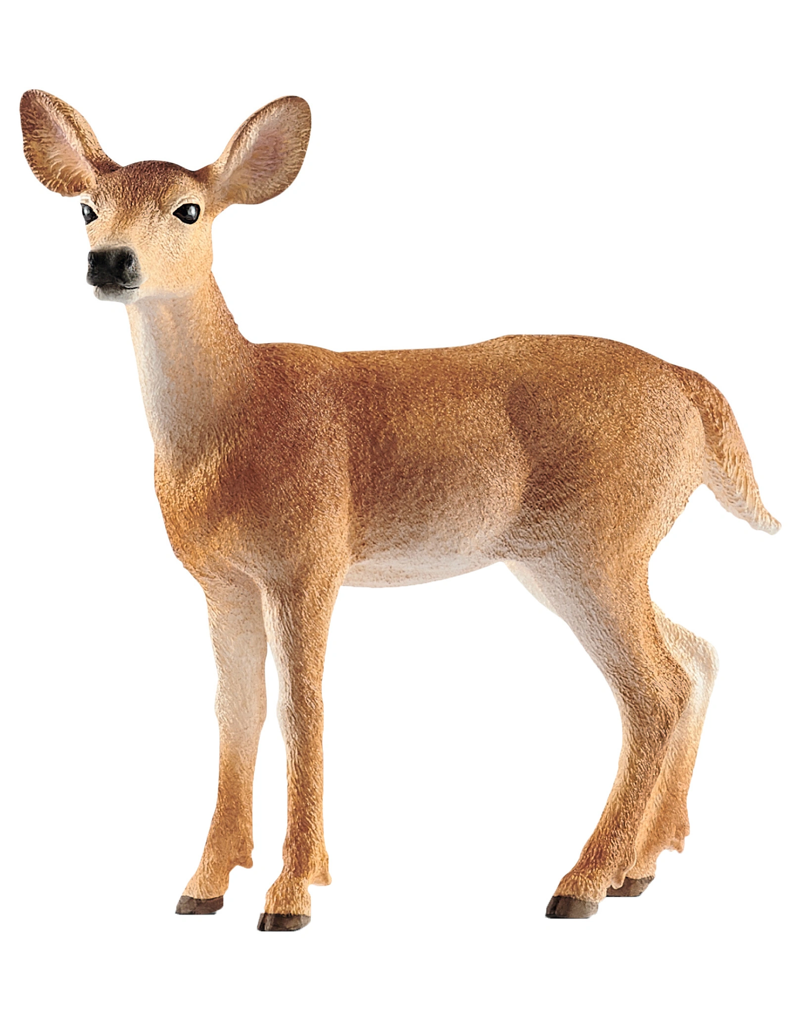 schleich® 14819 Wild Life – Weißwedelkuh