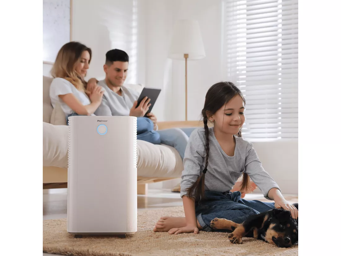 Pro Breeze Déshumidificateur compresseur 12 ljour avec capteur d'humidité auto, séchage du linge