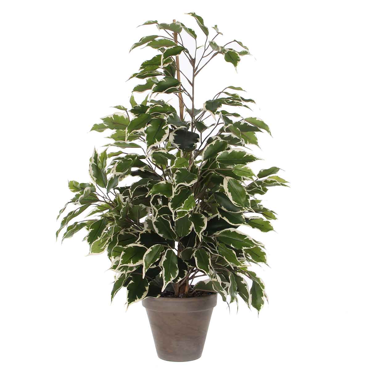 Mica decorations ficus exotica plante d'arte - h65 x ø40 cm - pot - vert