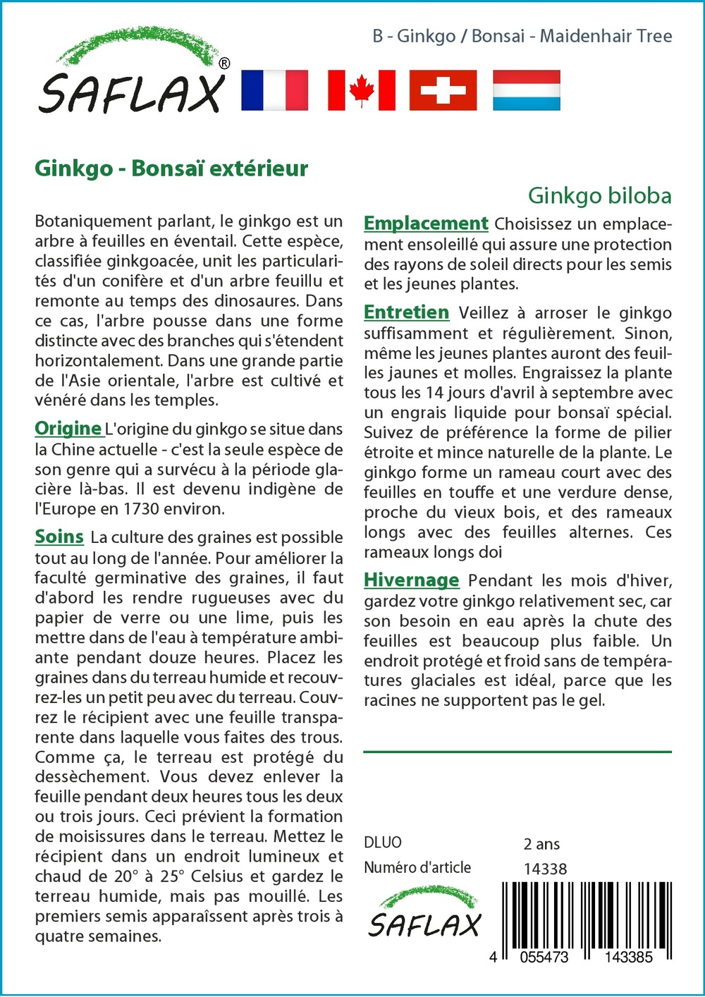 Ginkgo - 4 graines - ginkgo biloba