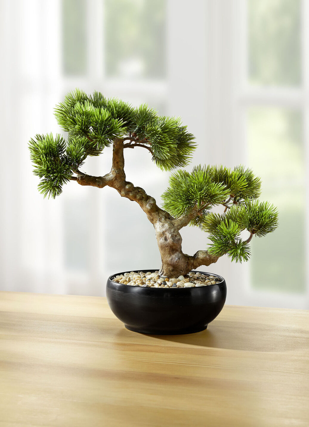 Bonsai im Keramiktopf