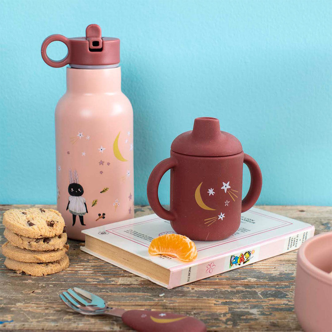 Moulin roty rvs drinkfles après la pluie - 350ml