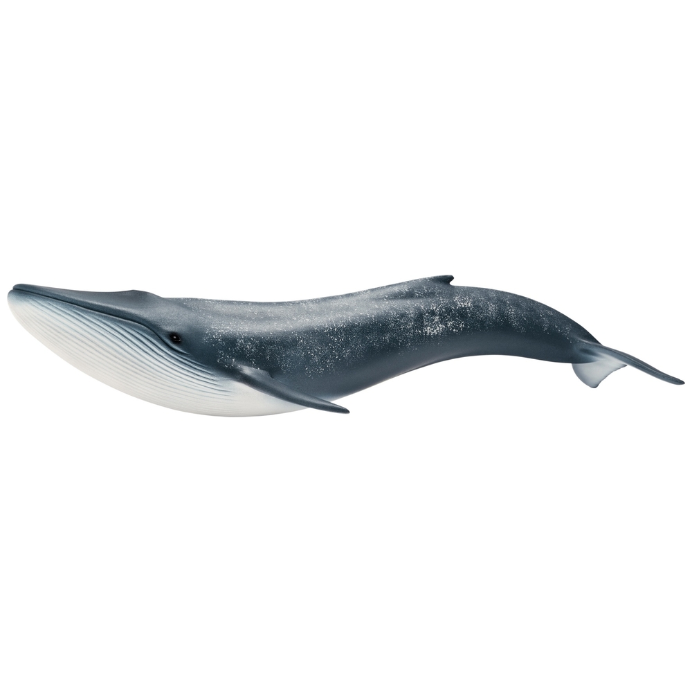 Schleich Blauwal