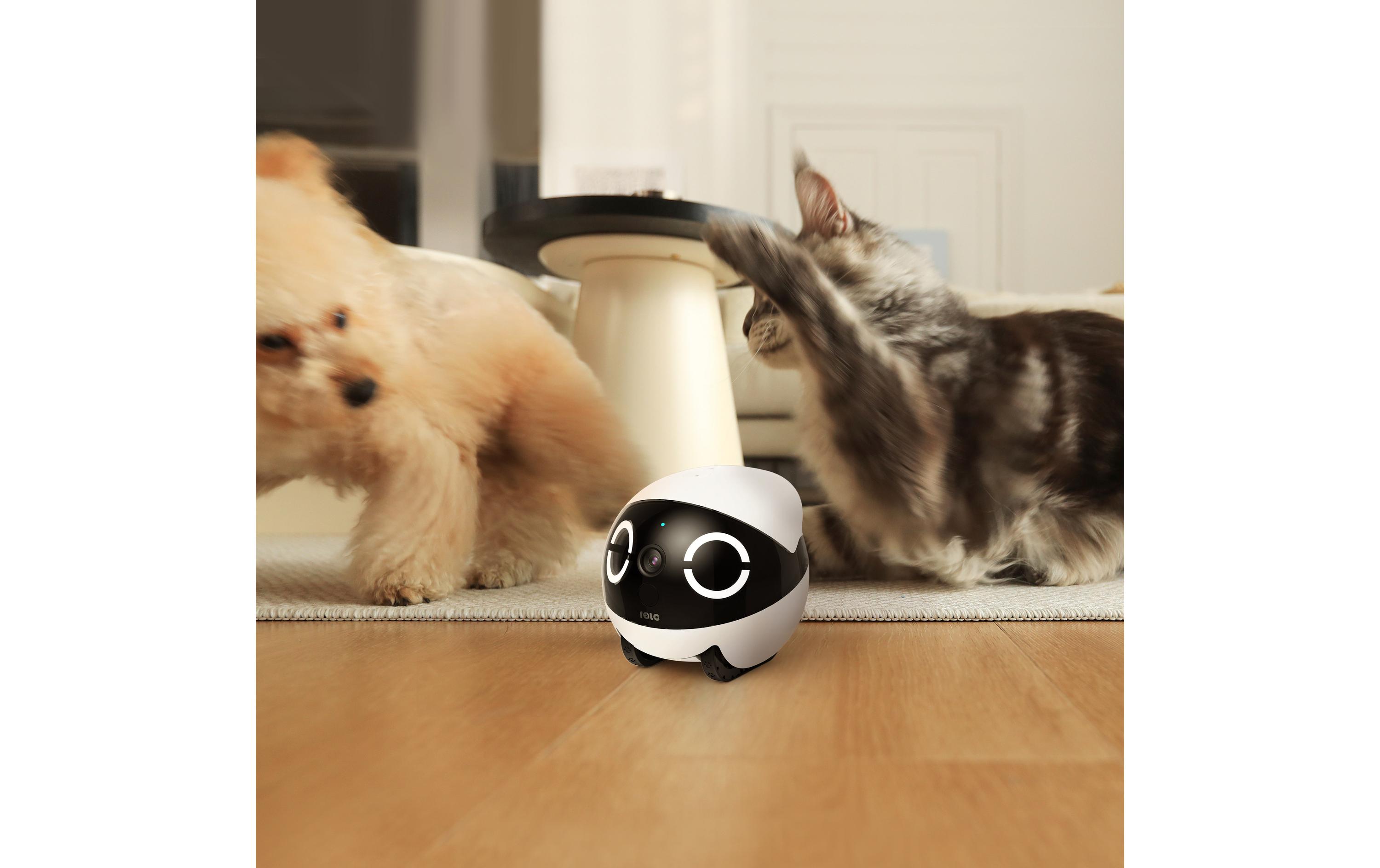 Rola Mini Pet Monitor 2k Cam<br>Kleine fahrbare Überwachungskamera