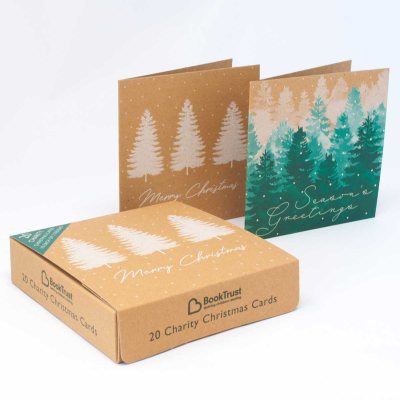 Kraft Christmas Charity Box x20