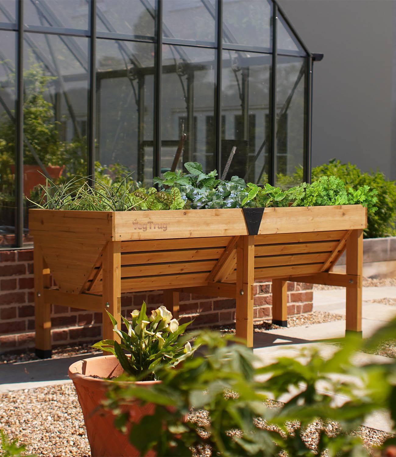 VegTrug Classic V2 1,8m Hochbeet, Natur, Pflanztiefe für flach und tief wurzelndes Gemüse, 100% FSC zertifiziertes Holz, 183 x 76 x 80 cm