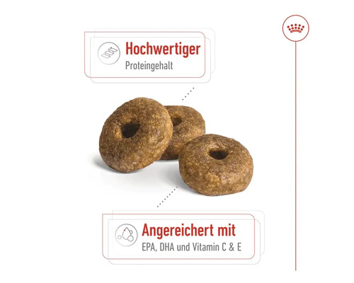 Droog hondenvoer, ROYAL CANIN SHN Medium Ageing +10 3 kg