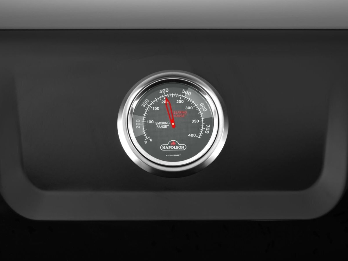Napoleon Freestyle PRO 365 Black gasbarbecue - Sizzle zone