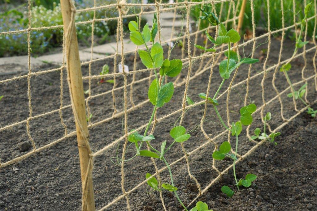 Nature geleidenet Liv jute 1 x 3 m