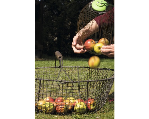 Noten- en fruitverzamelaar voor_q, telescopisch 110-165 cm