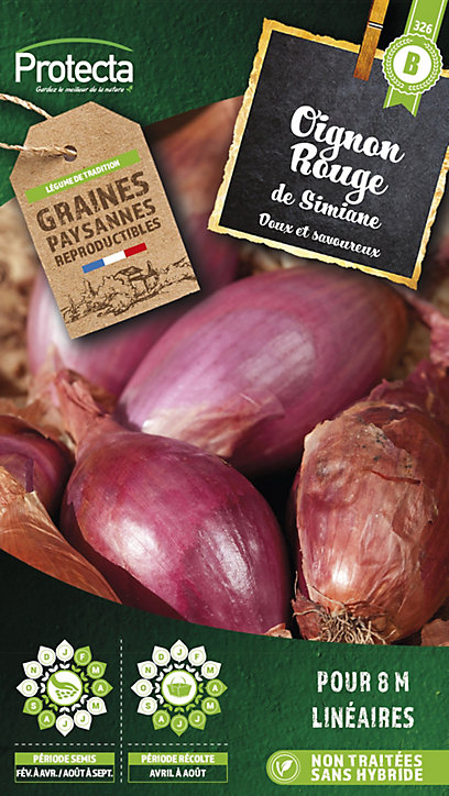 Graine d'oignon rouge de Simiane Protecta