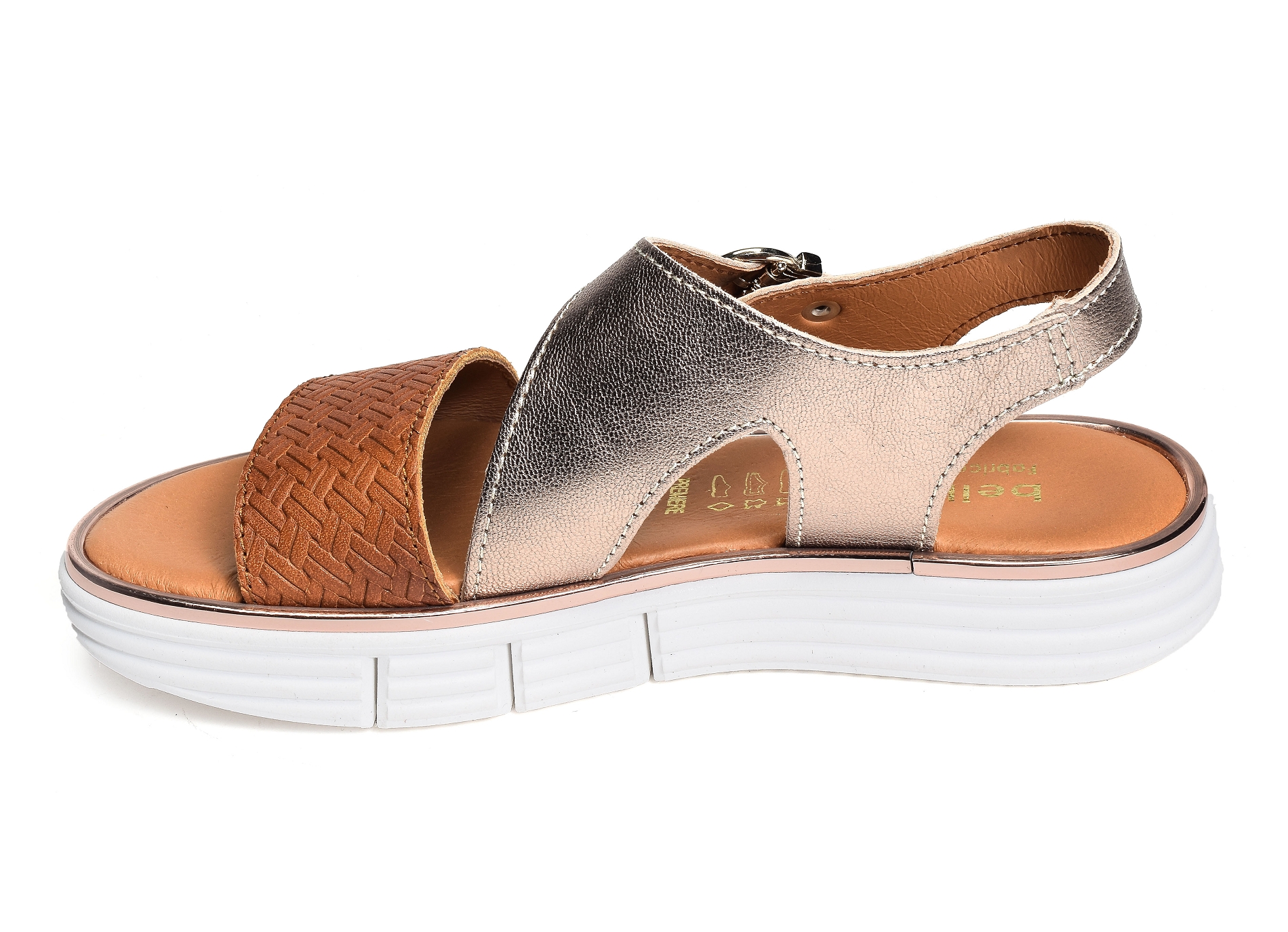 Cuvaco camel