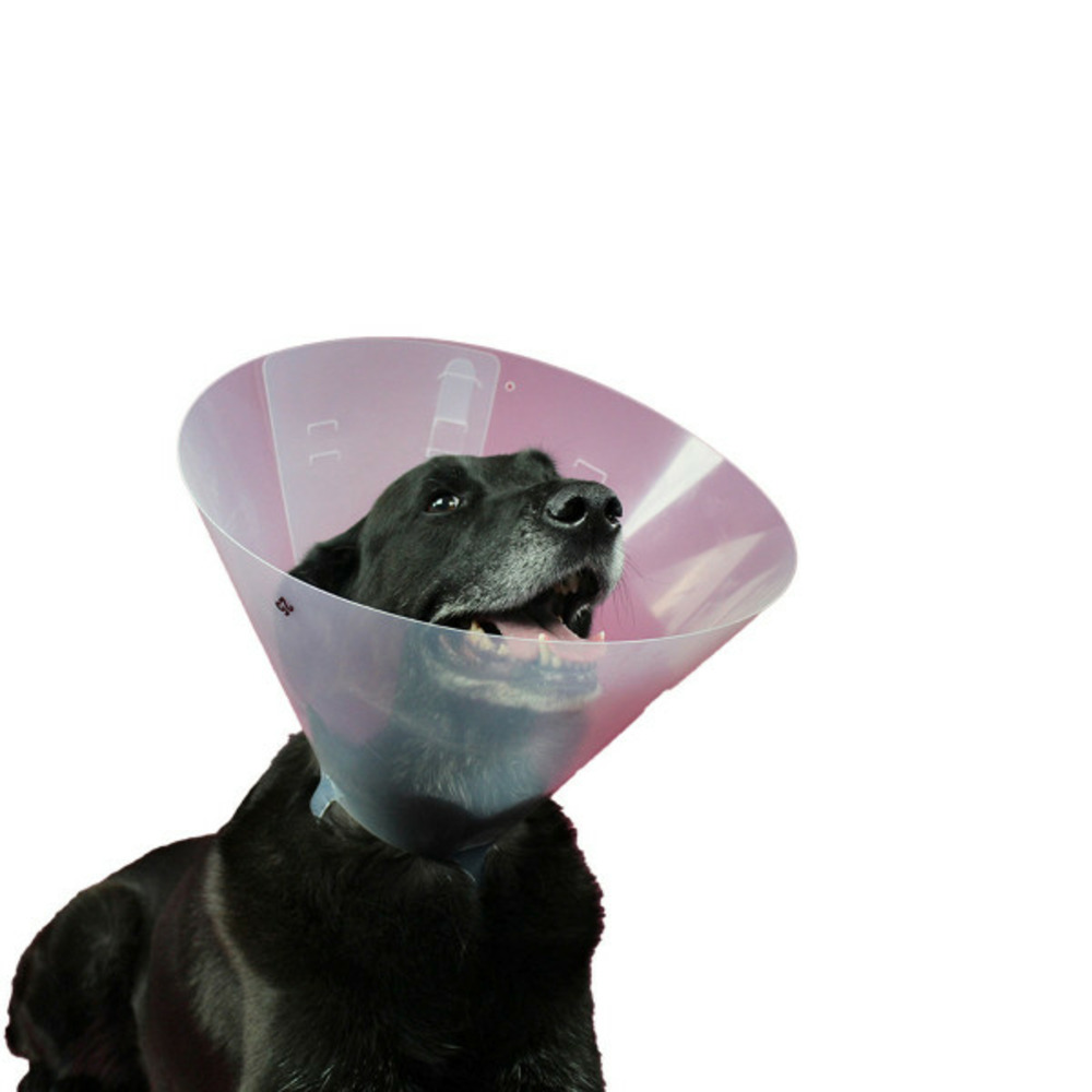 Collier de protection isabelino pour chiens betsy (27-31 cm)
