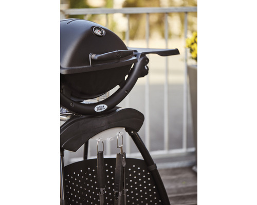 Weber Q 1200 Stand Black Gasbarbecue, 1 roestvrijstalen brander, 2,49 kW, grilloppervlak van 43 x 32 cm, gietijzeren grillrooster, deksel en behuizing van gegoten aluminium, inclusief standaard, geïntegreerde thermometer, elektronische ontsteking, ve