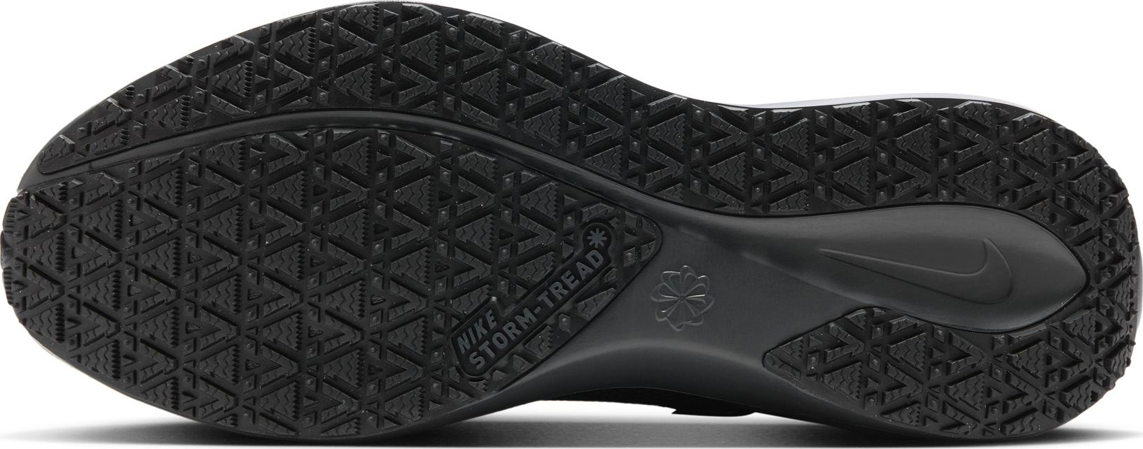 Pegasus 41 GORE-TEX Herre 001/Black/Black/Anthracite