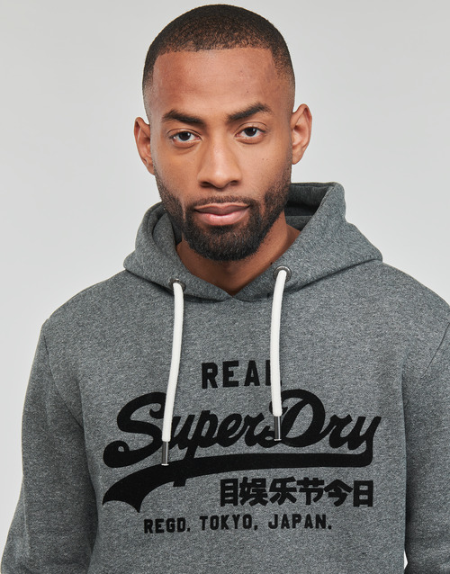 Superdry - TONAL VL HOODIE - Gris