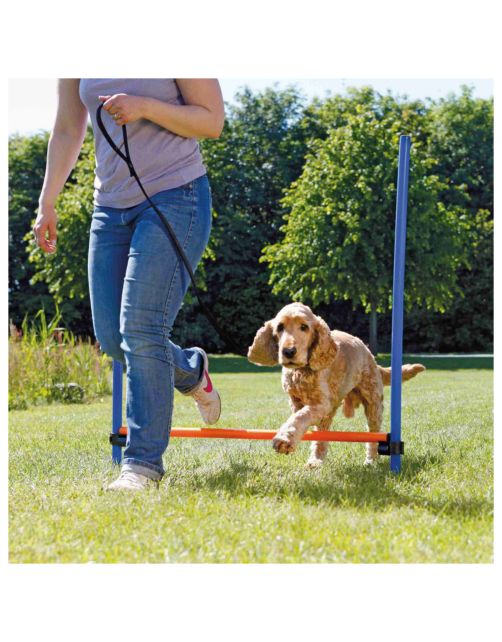 Trixie Dog Activity Agility Horde - Hondensport - 123x115x3.0 cm Blauw Oranje