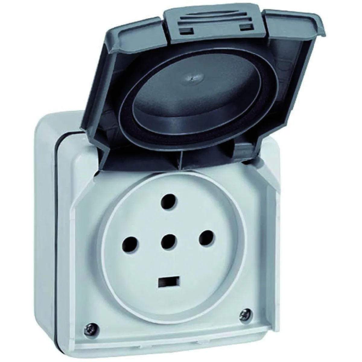 Legrand Prise de Courant Plexo Structure 4P+T+N - Gris