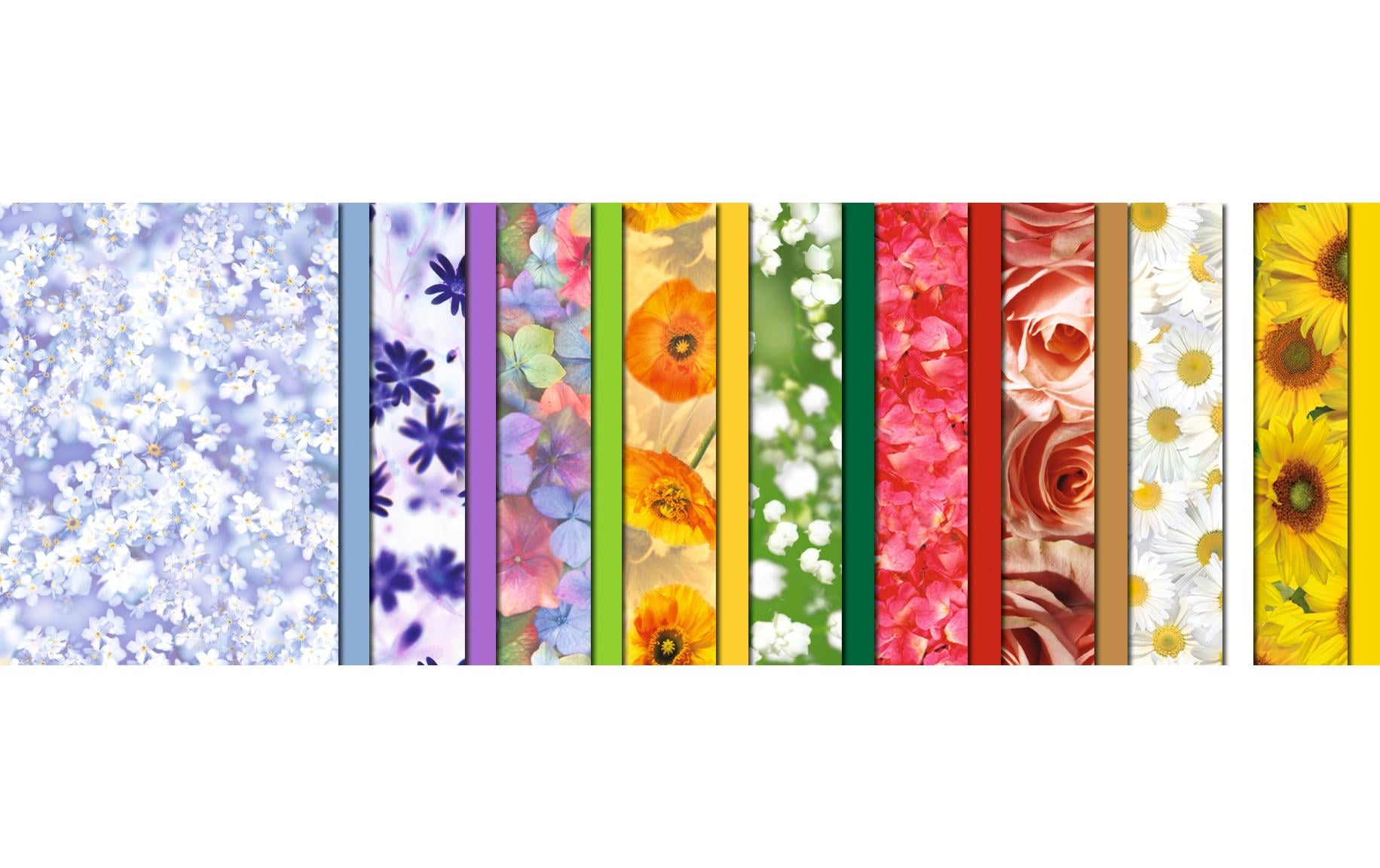 Transparentpapier Flora A4, 115 g/m², 18 Stück, MehrfarbigBastelpapier in verschiedenen Motiven