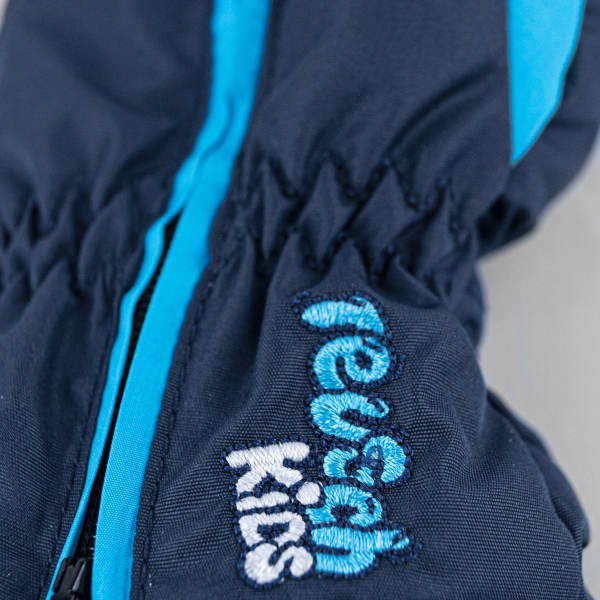 Gant de ski REUSCH BEN DRESS BLUE / BACHELOR BUTTON