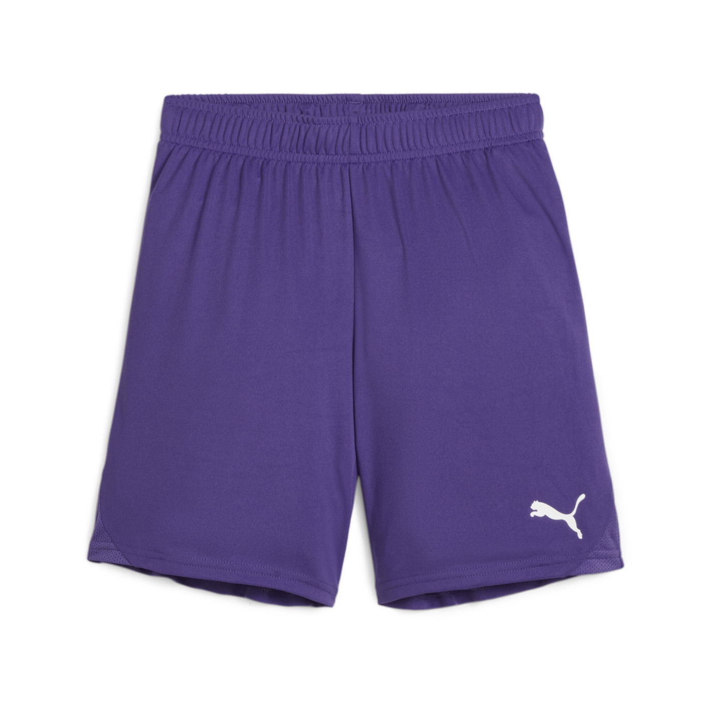 PUMA teamGOAL Matchday Voetbaltenue Kids Paars Wit