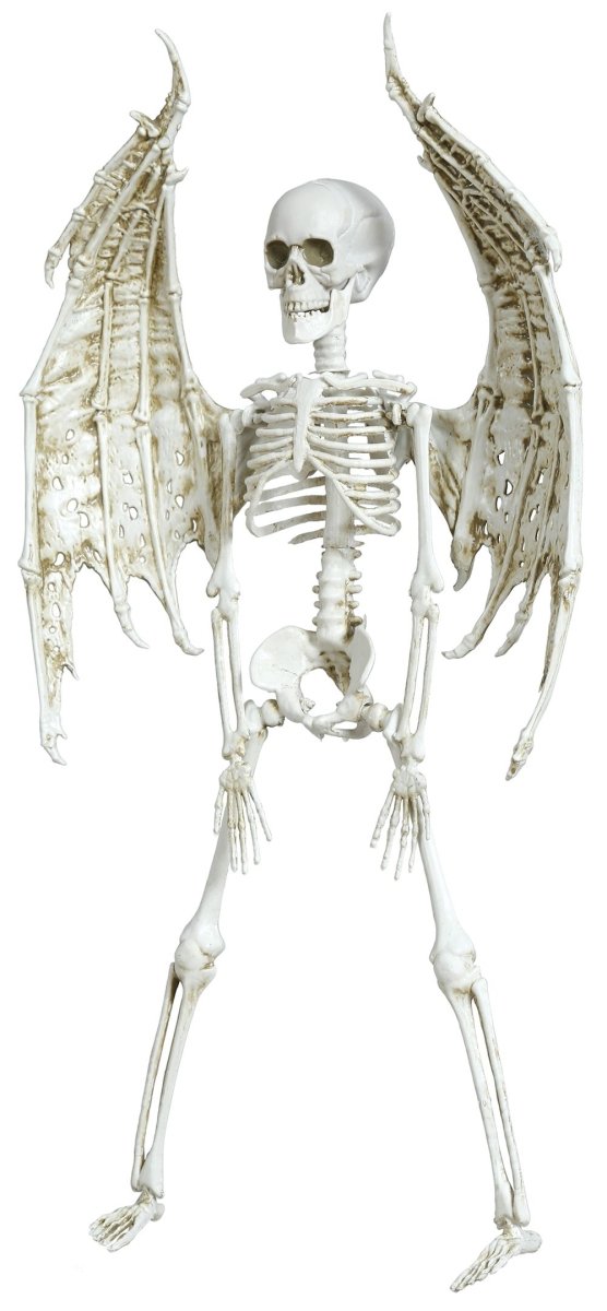 Halloween Skelet Met Vleugels 46cm