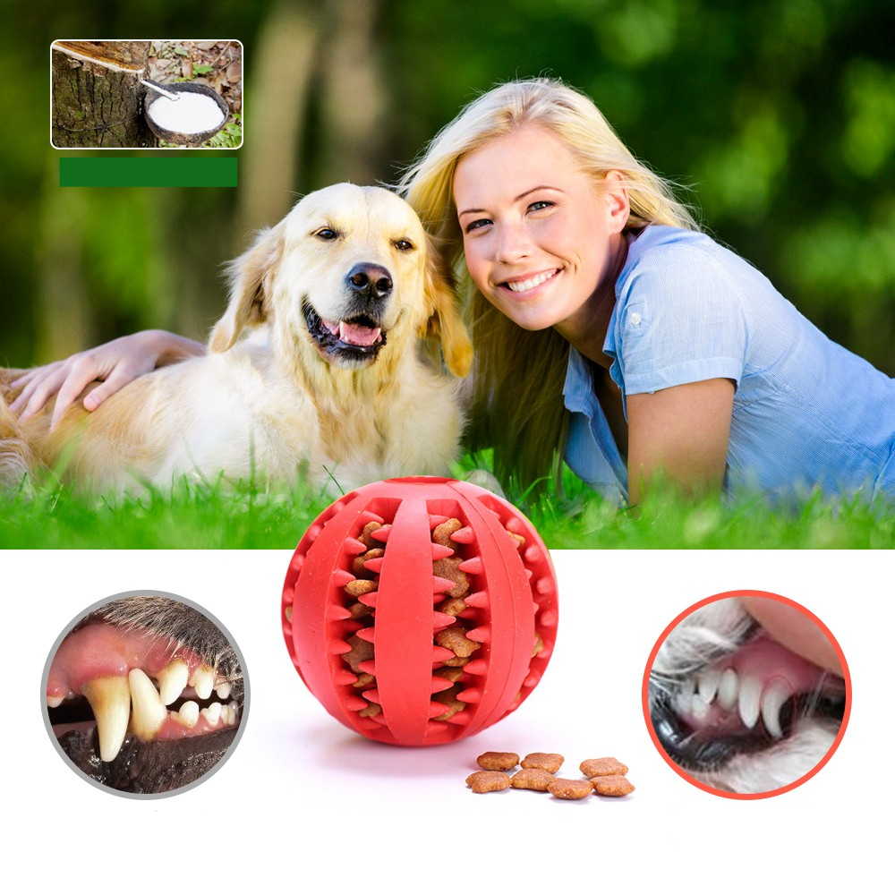(5er Set) Ø5cm Interaktives Hunde Spielzeug Zahnreiniger Beiss Bälle Leckerli Spender Kauspielzeug für die Zahnpflege - Assortiert