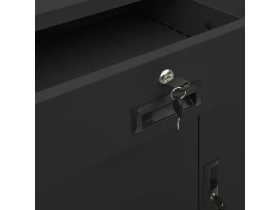 Armoire de bureau et jardinière Anthracite 90x40x125 cm Acier