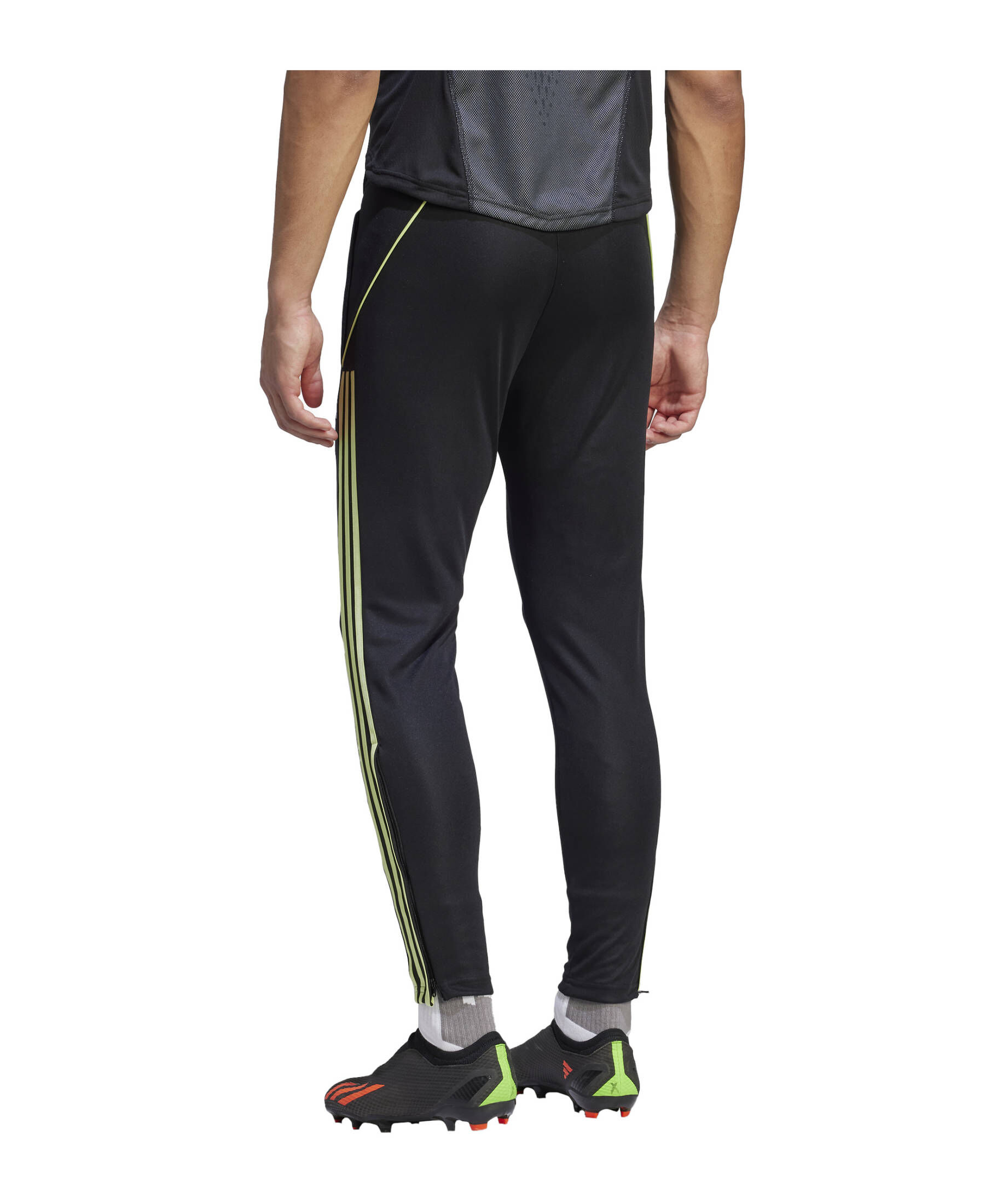 adidas Performance| Herren Trainingshose Tiro 23 League