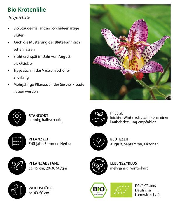 Bio Krötenlilie