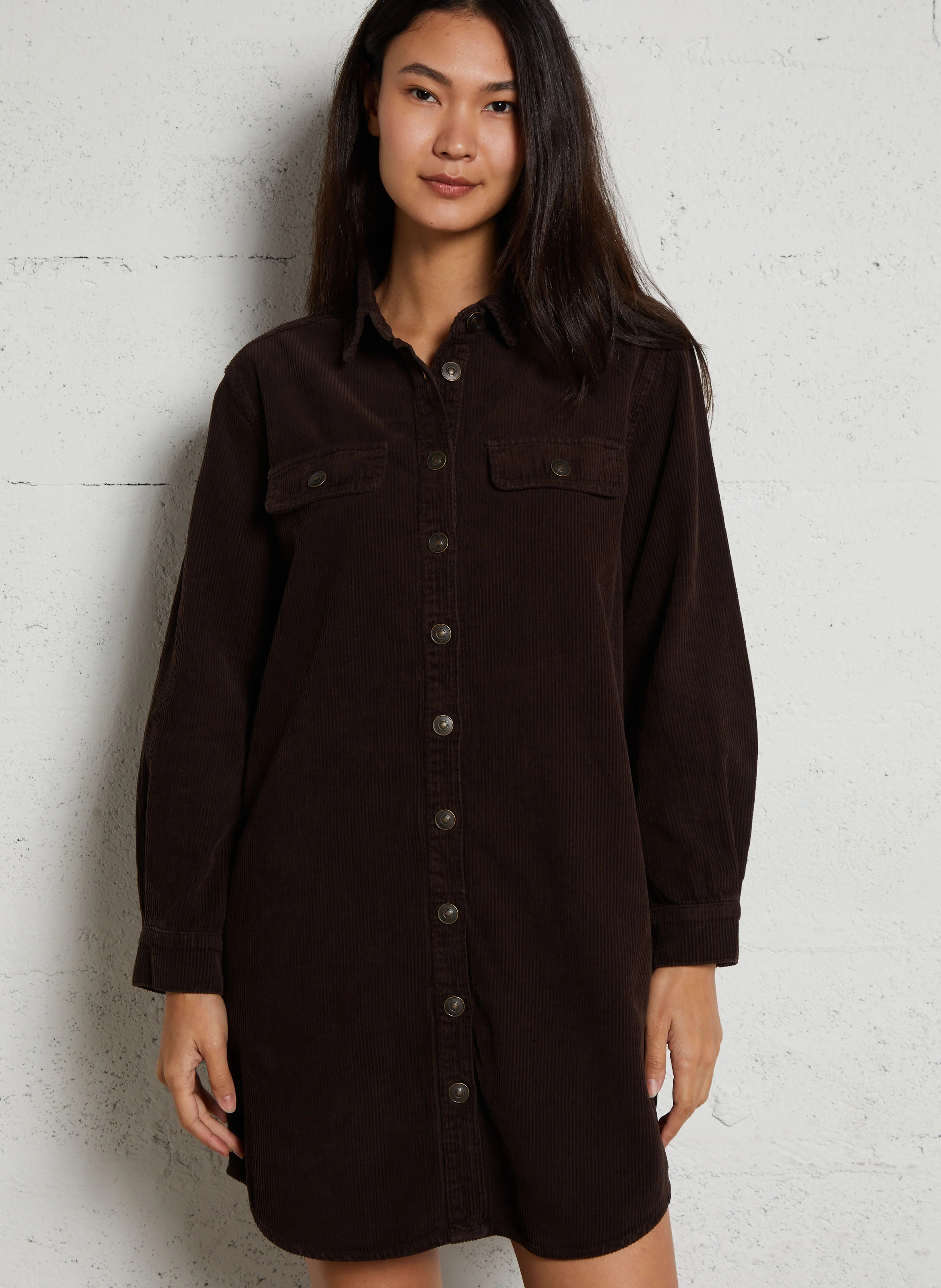 CENDRA - Robe courte col classique en coton | Marron