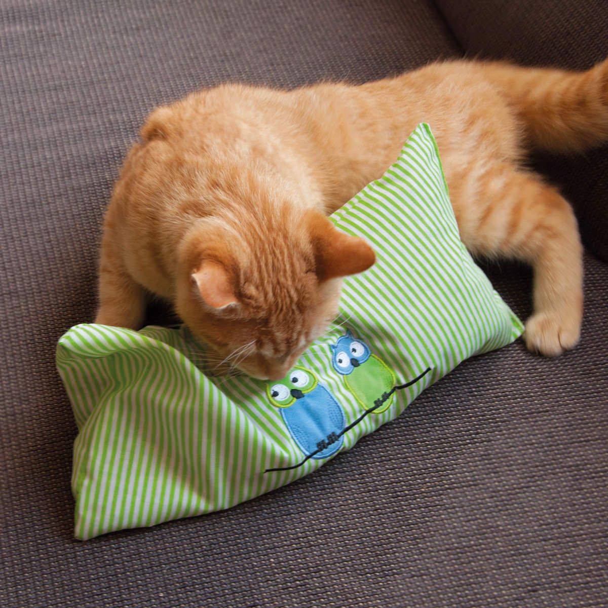 Aumüller Katzenspielkissen mit Katzenminzefüllung - Leander Maxi