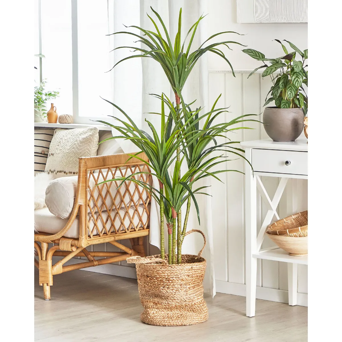 BELIANI DRACAENA ANITA 147 cm - Vert