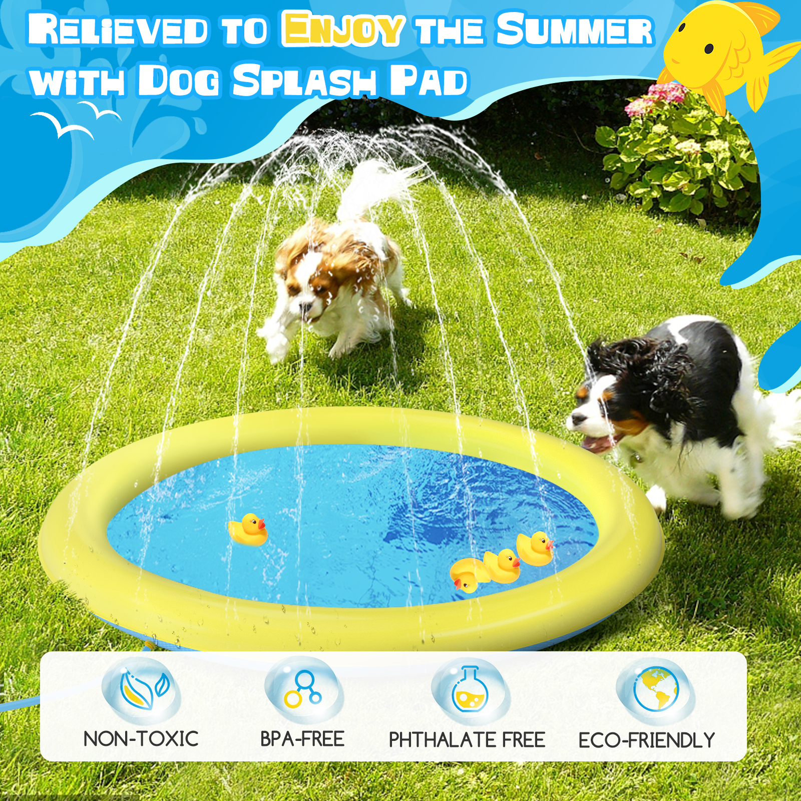 Piscina Nobleza para Cães de Grande Porte