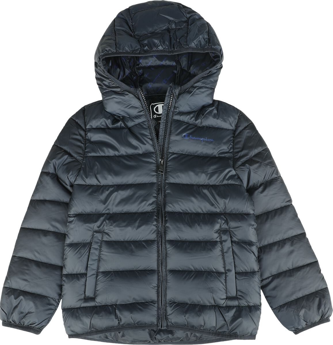 Legacy - Veste à Capuche | Champion Veste