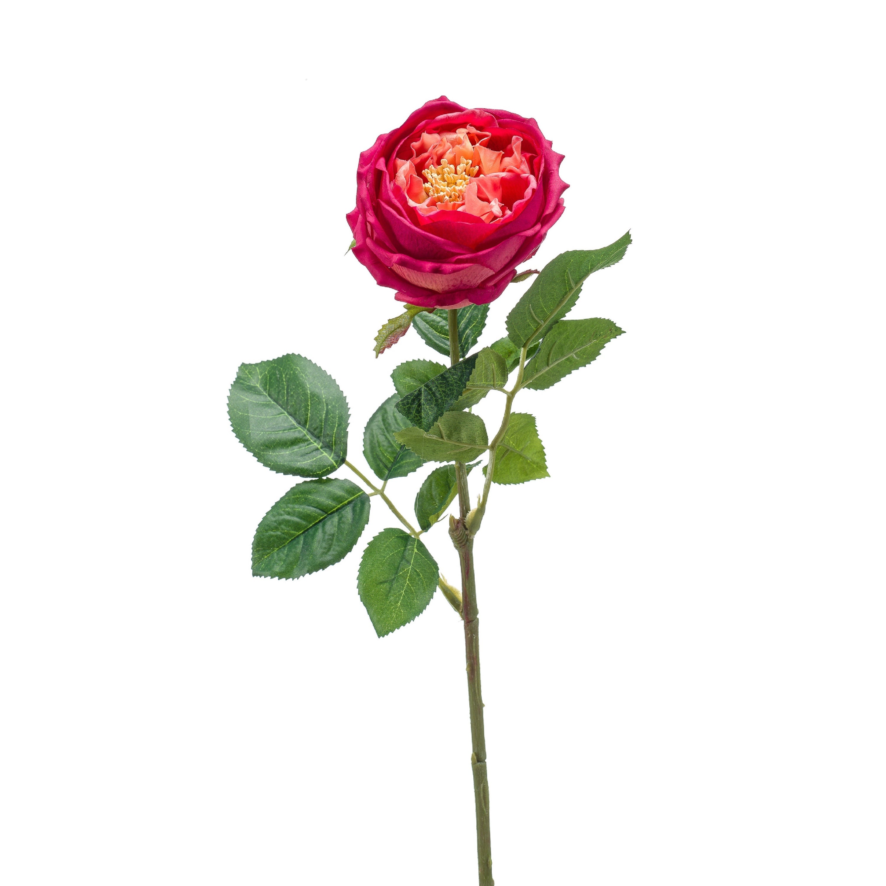 Fleurdirect Kunstbloem Rose Roze -  - 0x60x0cm (BxHxD)