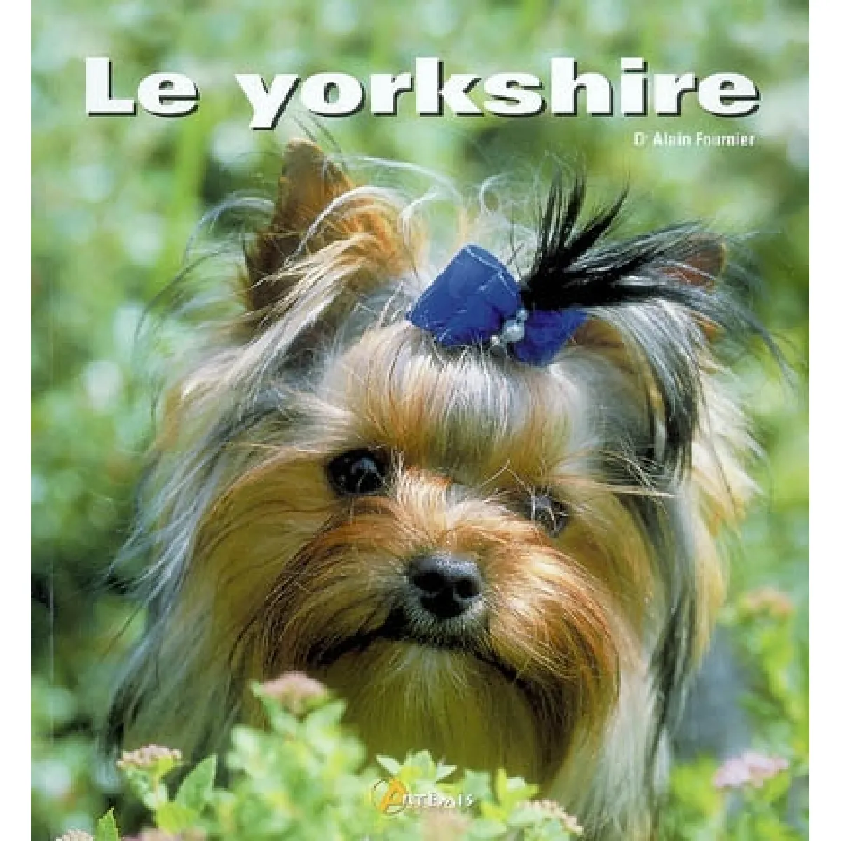 Le yorkshire · Occasion