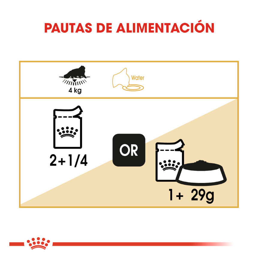 Royal Canin Feline Persian Adulto