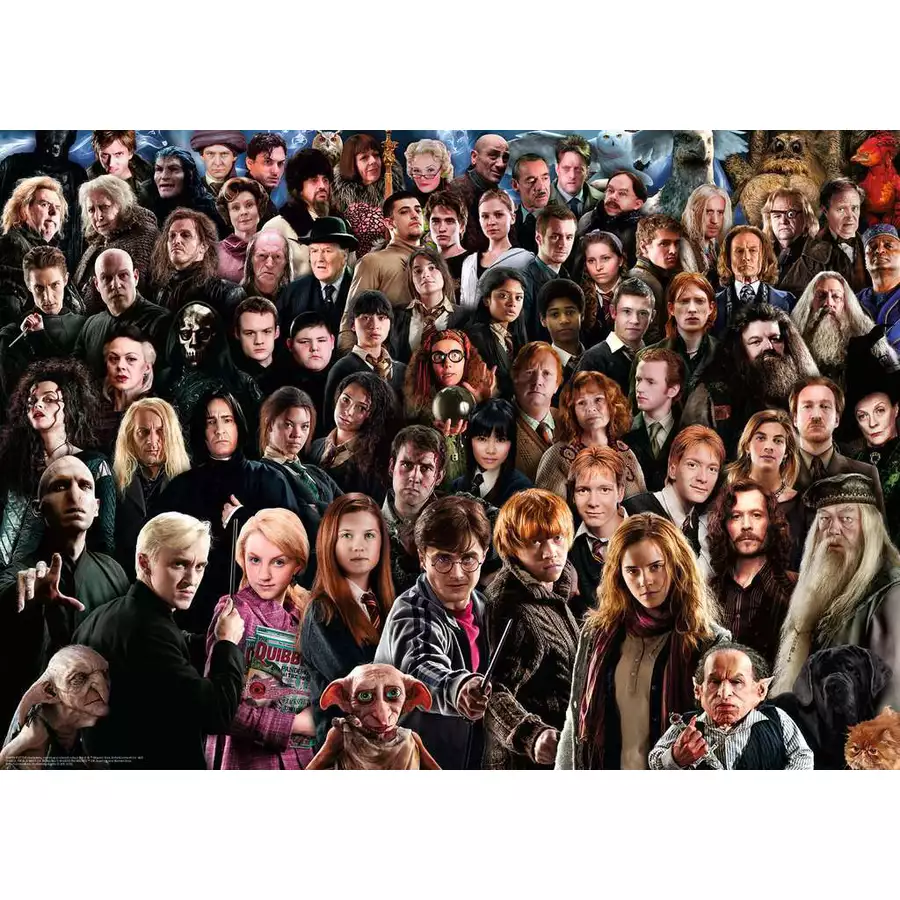 Ravensburger Challenge Harry Potter bunt