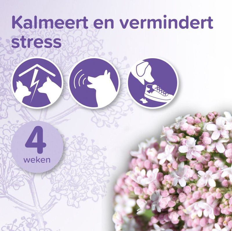 Beaphar No Stress Navulling Hond - Antistressmiddel - 30 ml