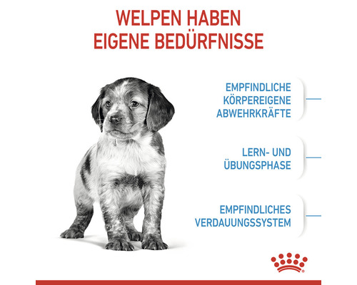 ROYAL CANIN Medium Puppy droogvoer voor middelgrote honden, 15 kg