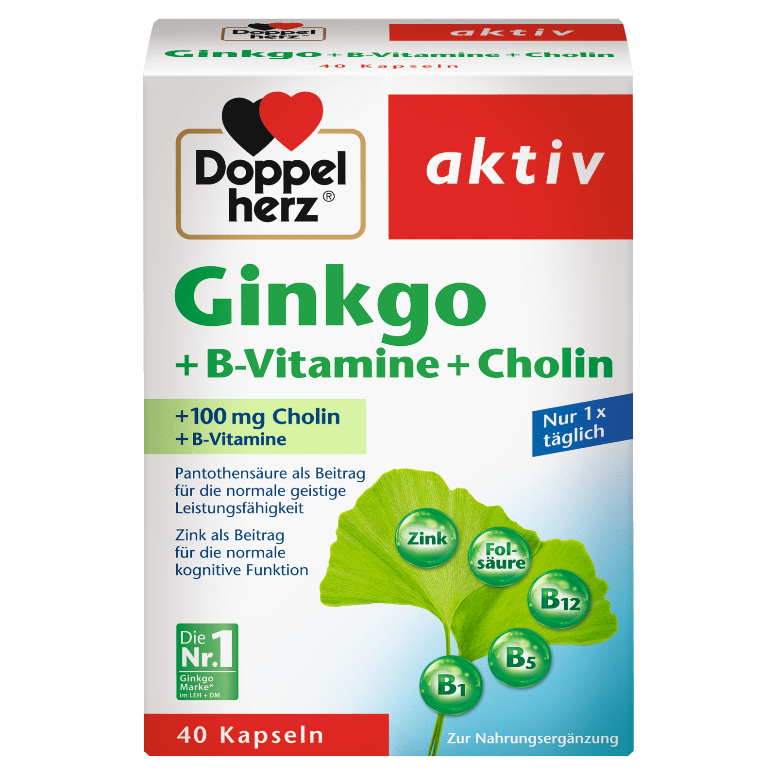 Ginkgo + Vitamin B + Cholin (40 Kapseln)