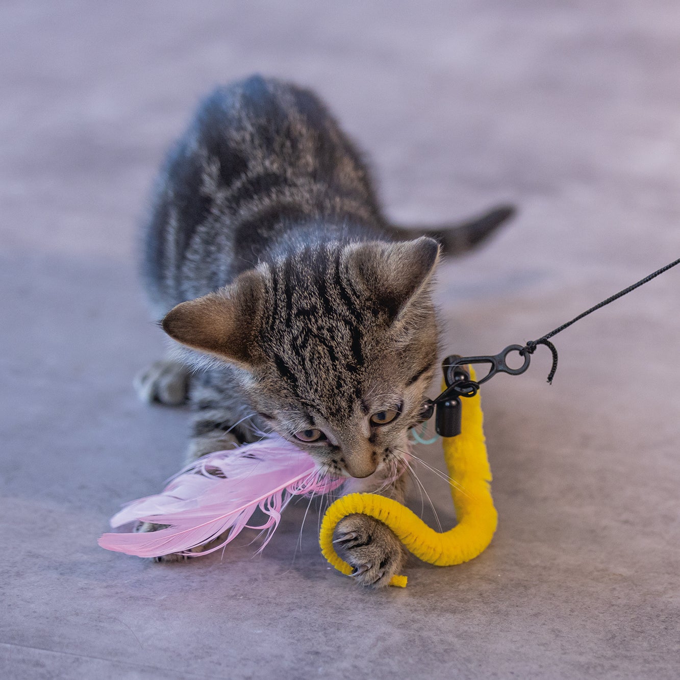 Beeztees kattenspeelgoed hengel Kocka 75 cm