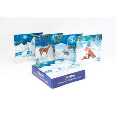 Snowy Animals Charity Box x20
