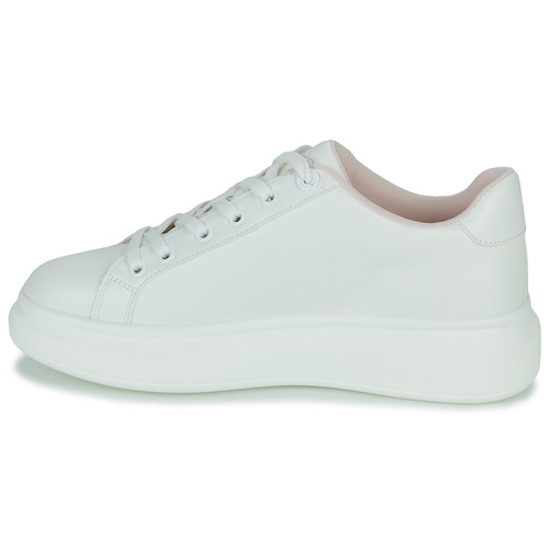 Aldo - PEONO - Blanc