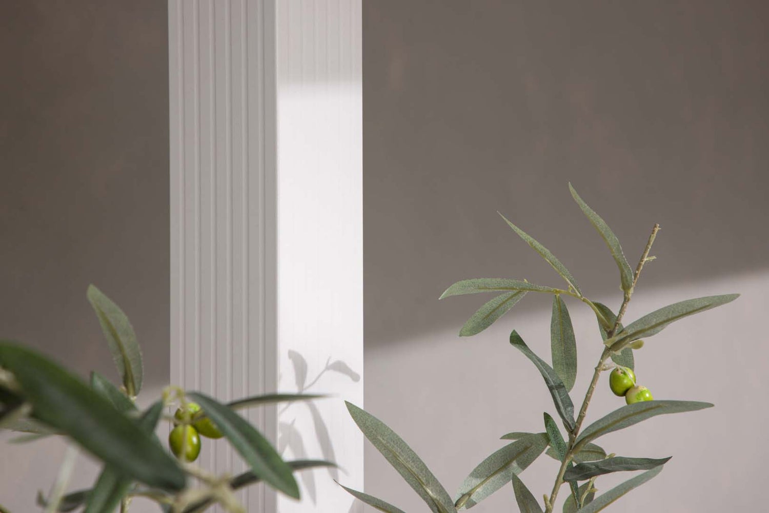 Lazio pergola wit. 295X295X248cm