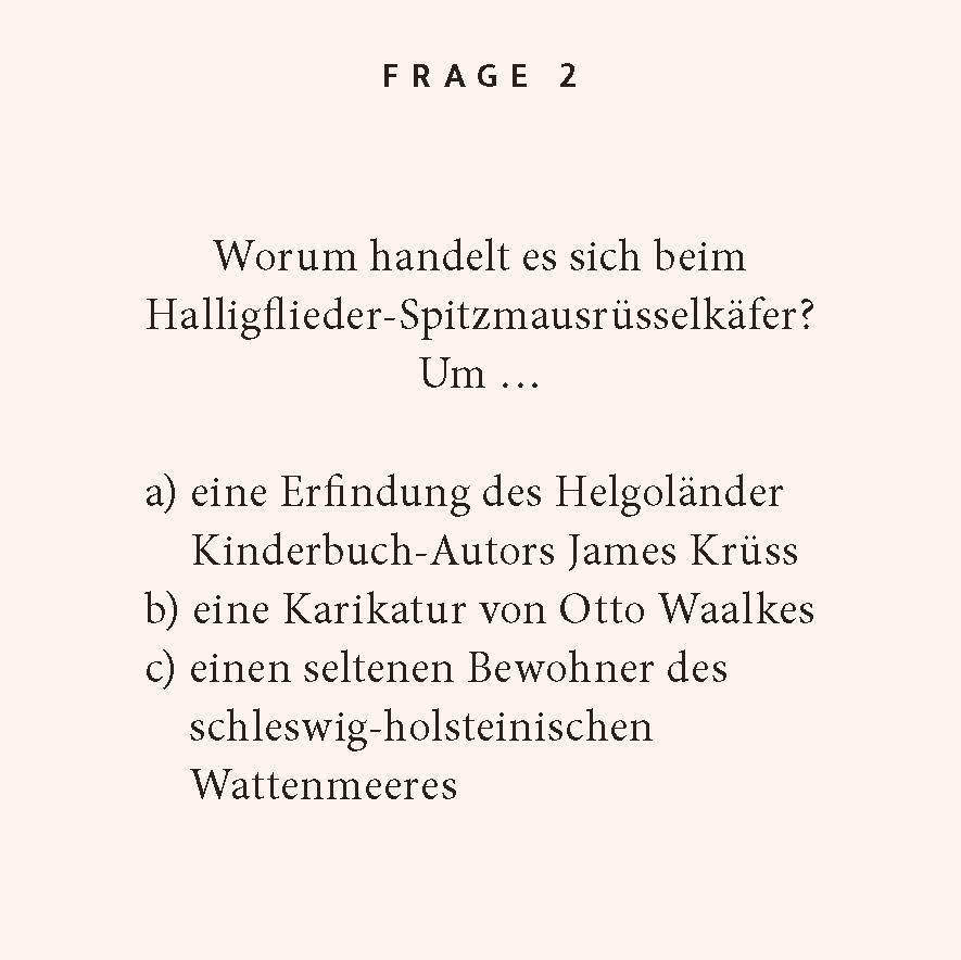 Nordseeküste-Quiz