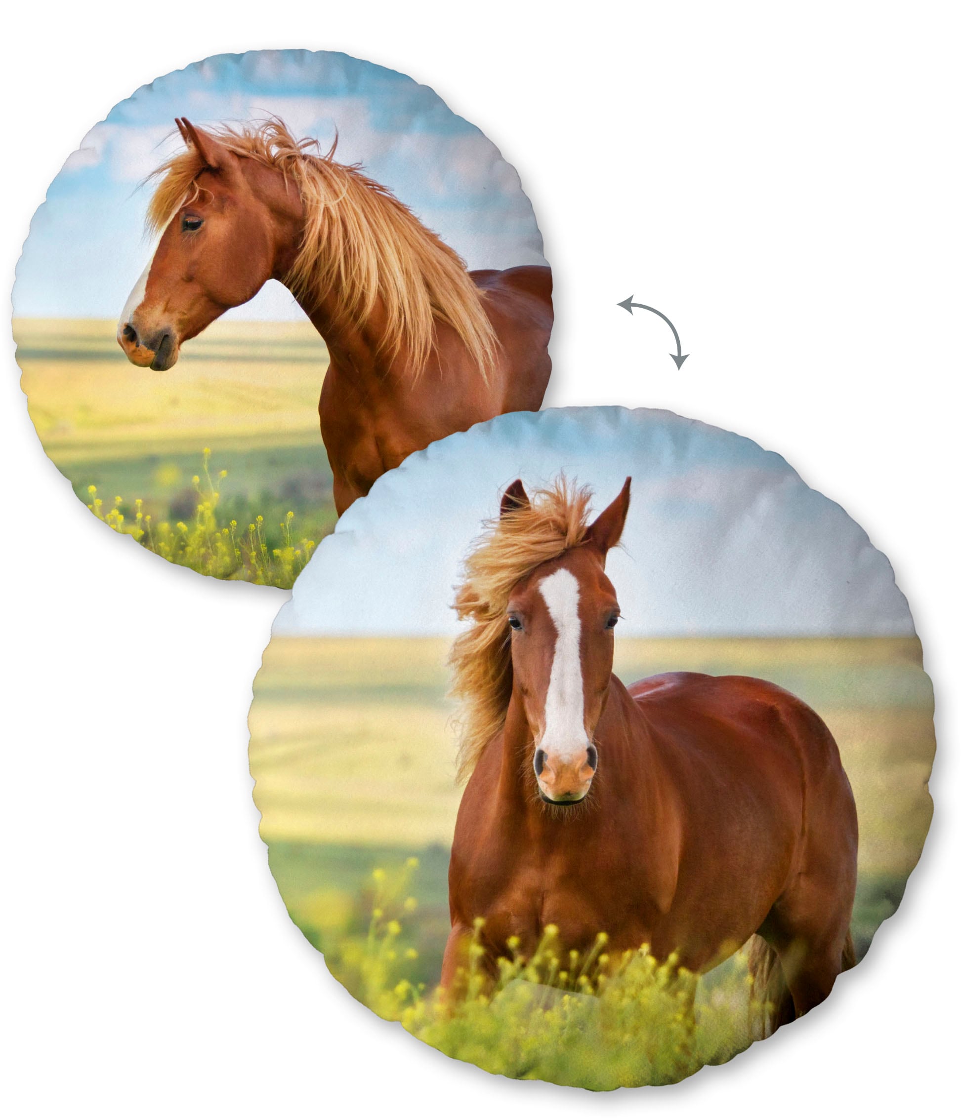 Herding Young Collection Dekokissen »Pferd« hochfarbig bedruckt