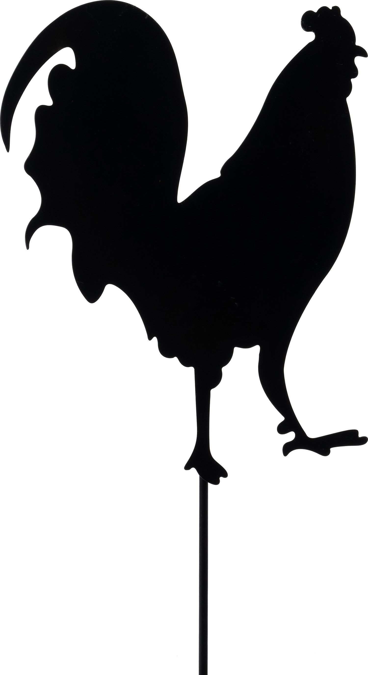 Intratuin tuinsteker Robbin haan zwart 30 x 25 x 60 cm