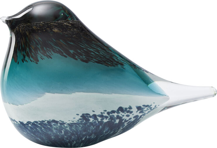 OCTAEVO GLASS BIRD ATLAS BLACK/GREEN Black